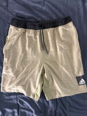 adidas Men's Olive Shorts with Black Waistband